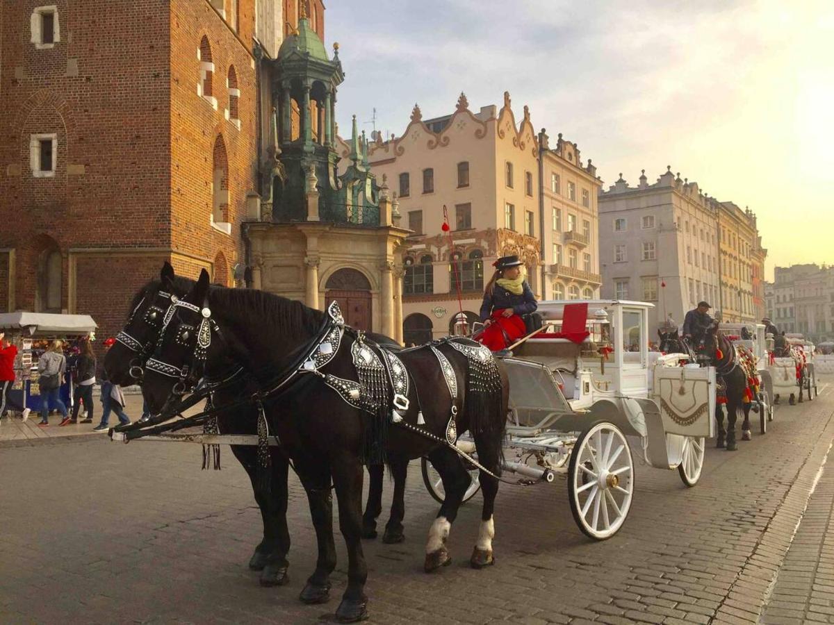 Studio Appartment In Old Town Cracovia Exterior foto